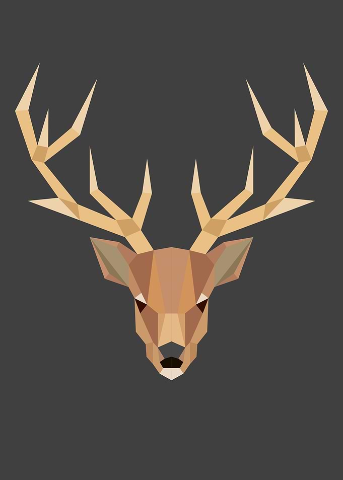 Deer animal