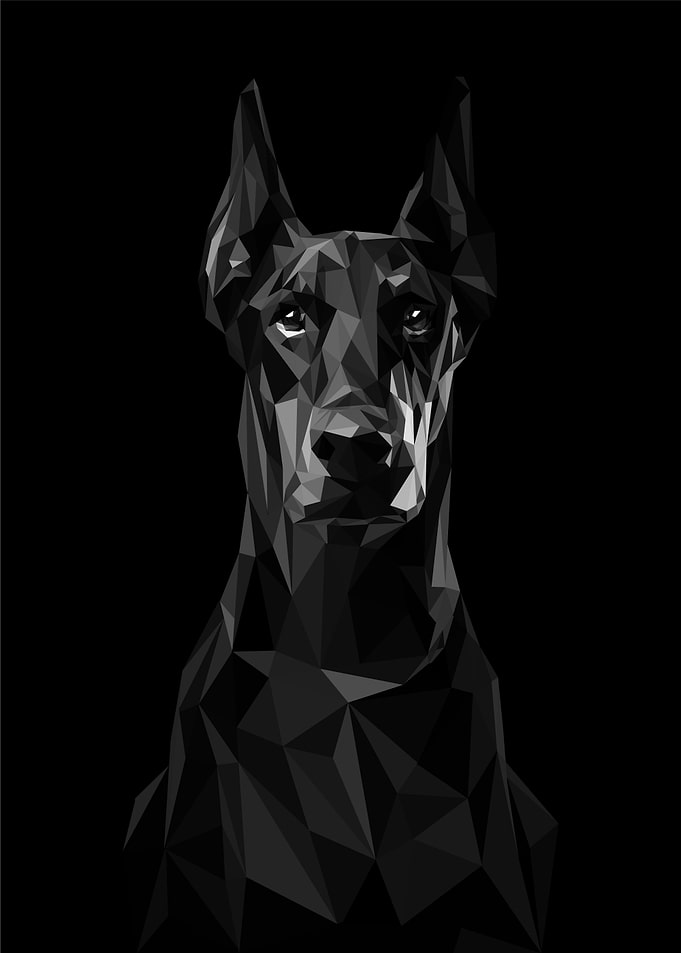 doberman dog pop art