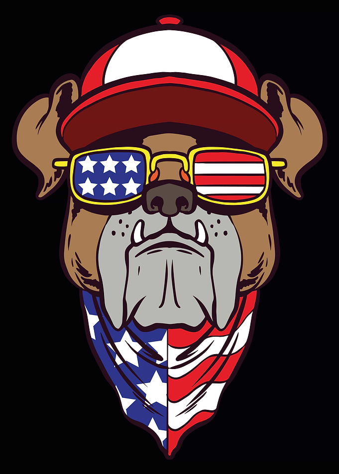 American Dog Poster Design