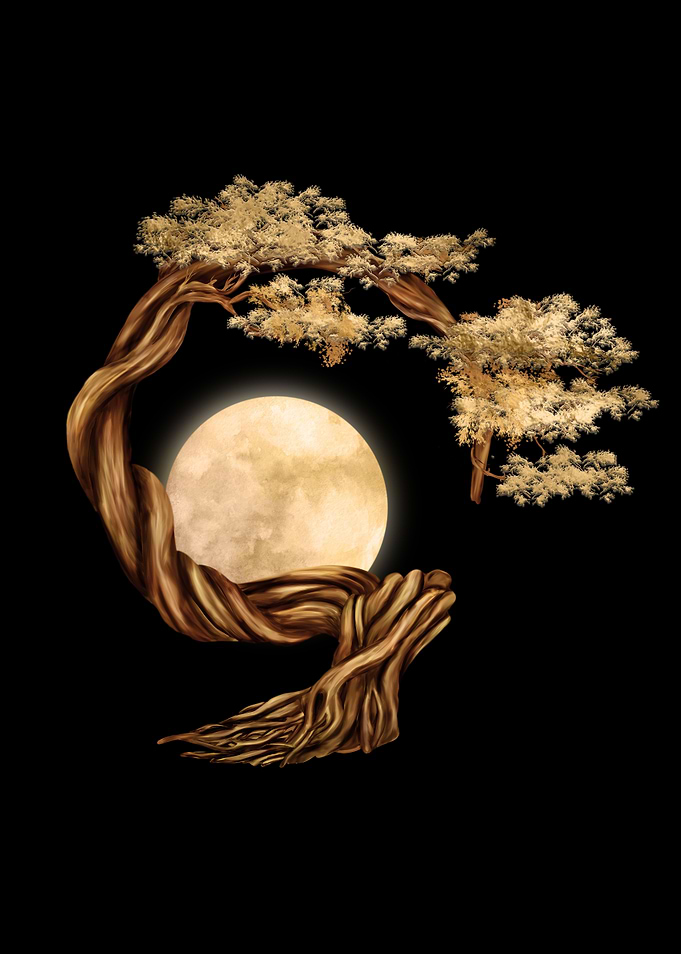 Enso Zen Bonsai Tree