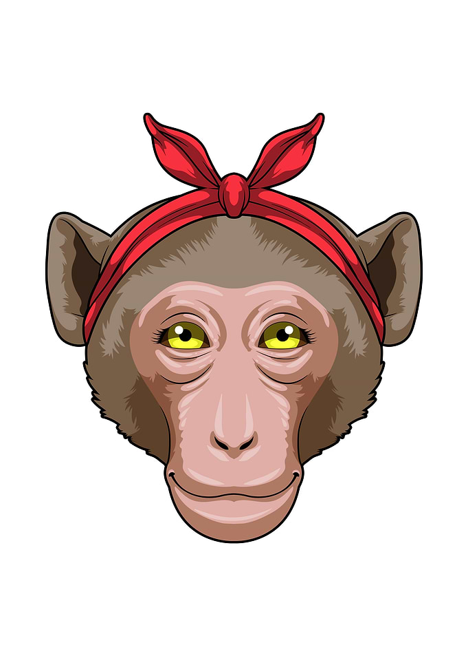 Monkey Bandana