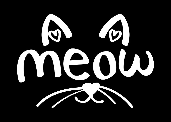 Meow Cat