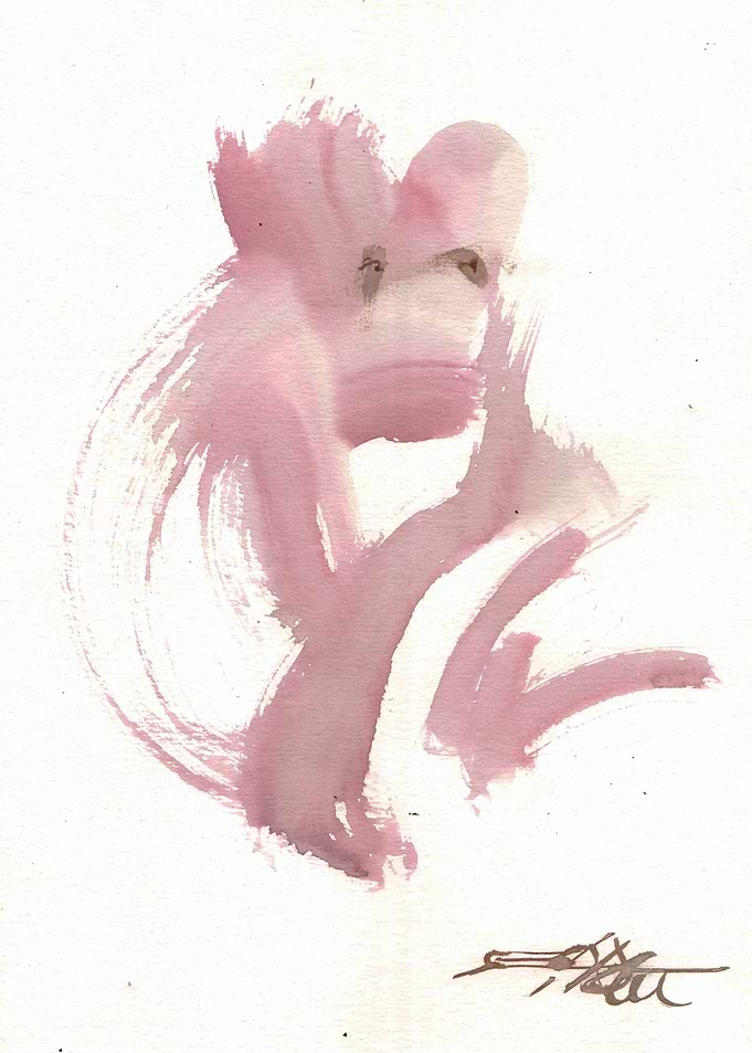 N887 Singe rose