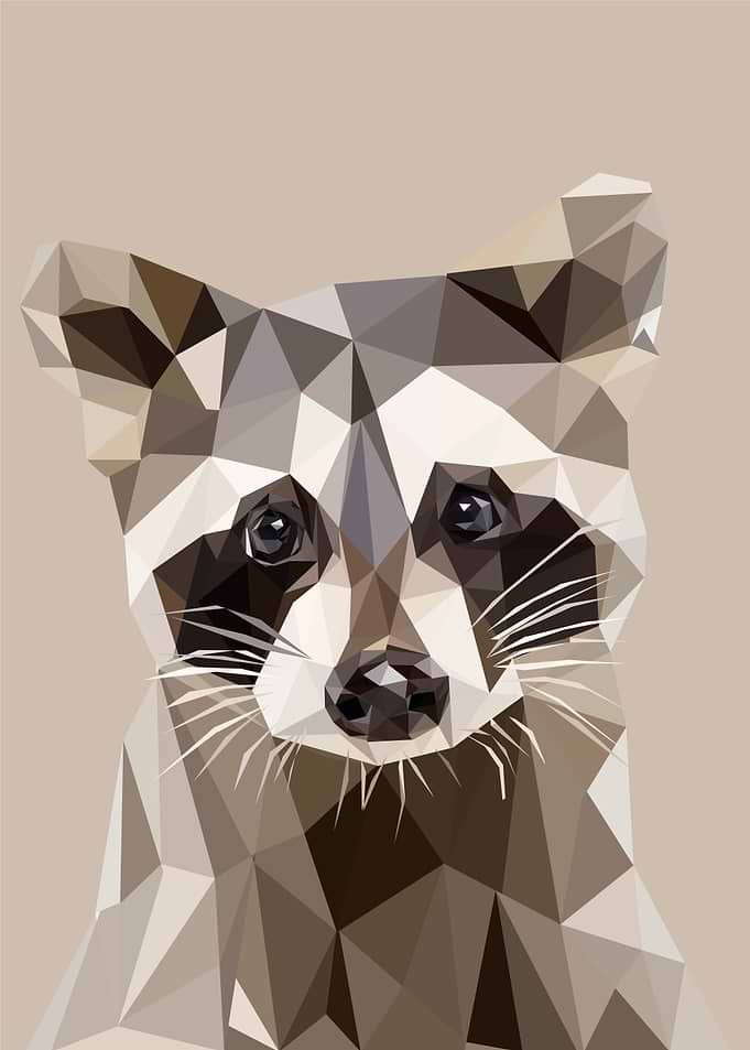 baby raccoon pop art