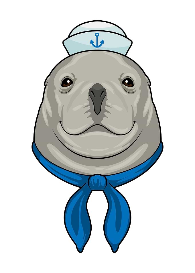 Seal Sailor Sailor hat