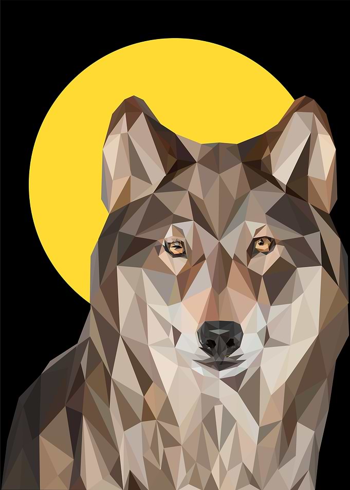 Wolf pop art