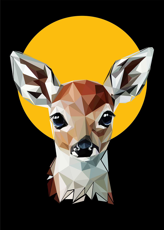 baby fawn