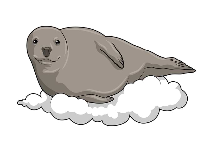 Seal Clouds
