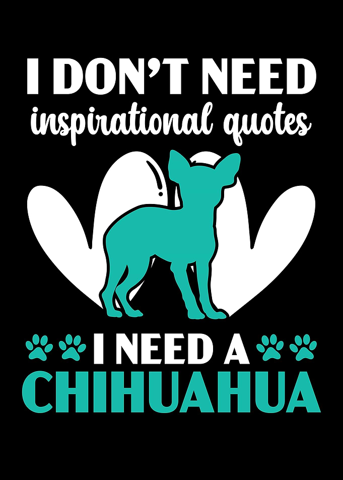 I Need A Chihuahua Dog