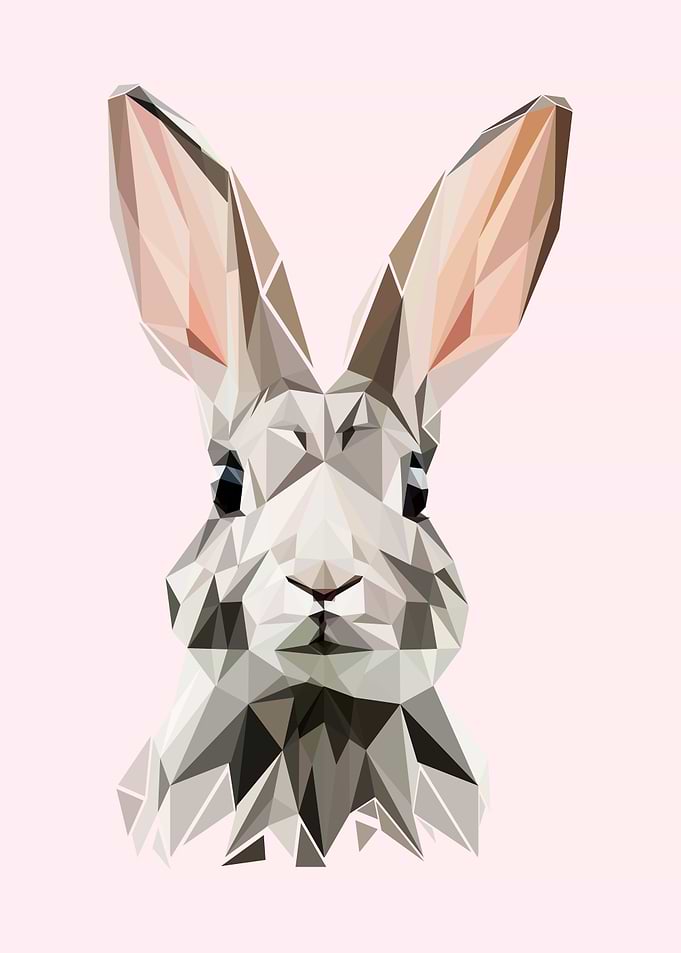 rabbit pop art