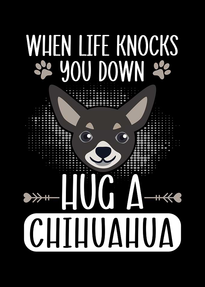 Hug A Chihuahua