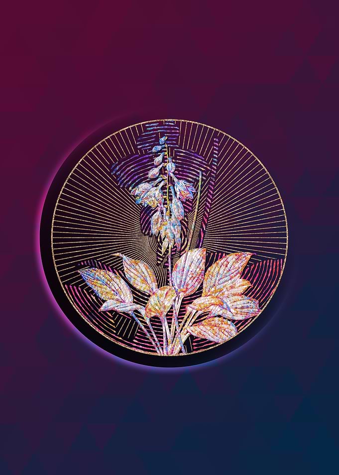 Geometric Mosaic Daylily