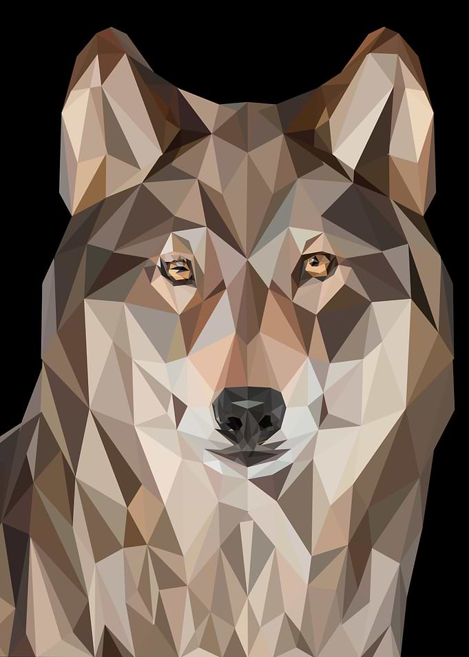 Wolf nursery animals art