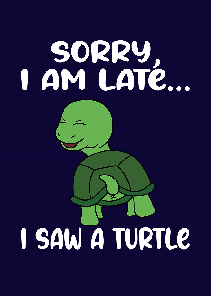 I Saw A Turtle