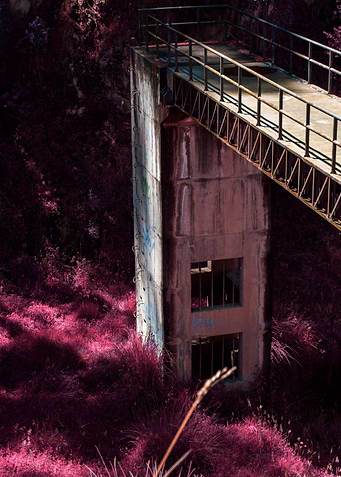Fantasy pink landscape