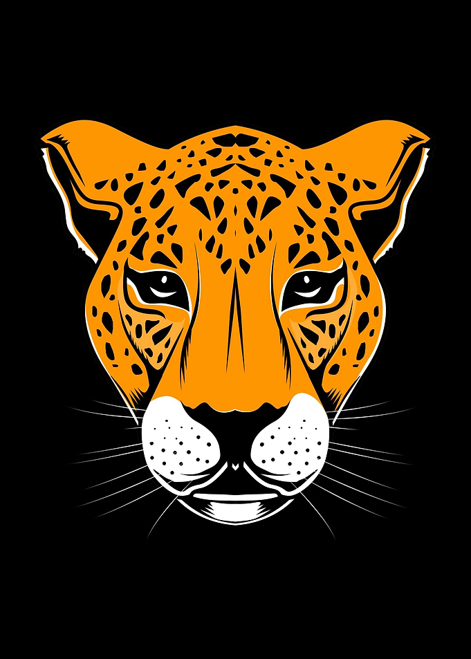 Cheetah Face