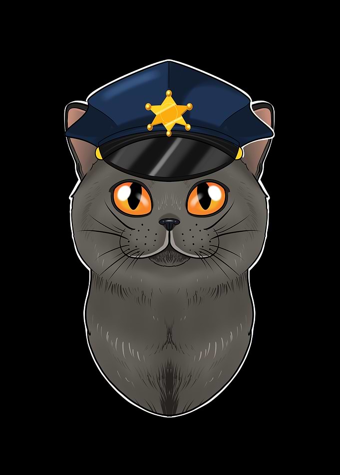 British Shorthair Cat