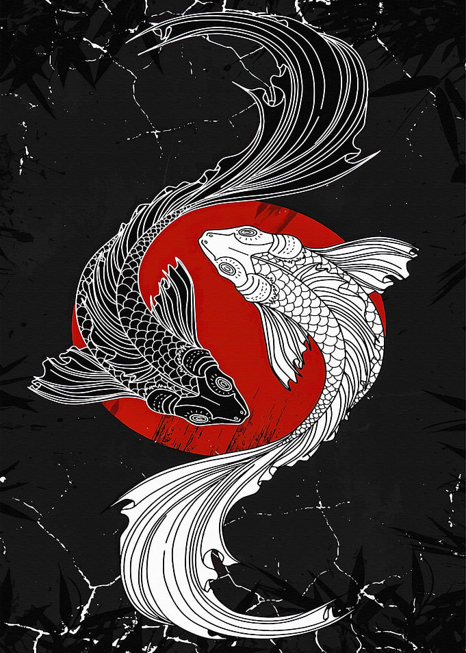 Koi Fish