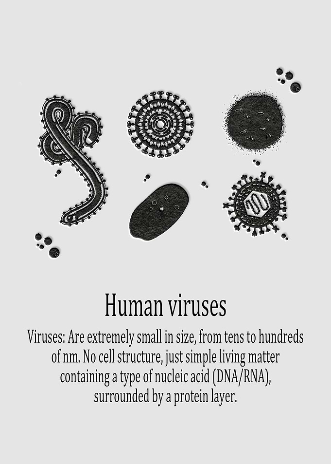 Human viruses