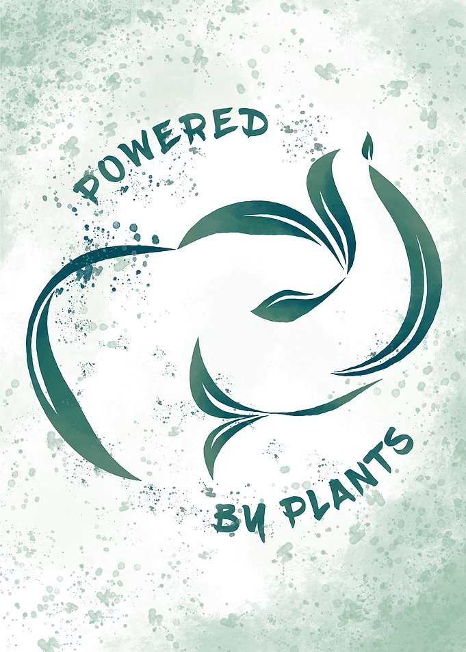 LITTLE ELEPHANT eats plant