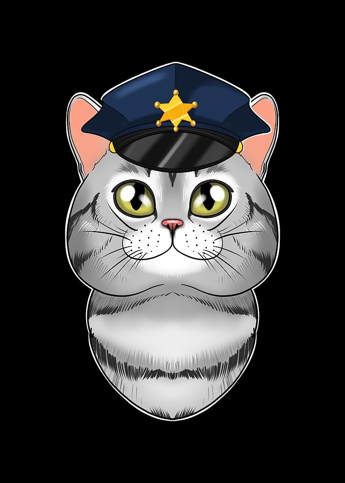 American Shorthair Cat