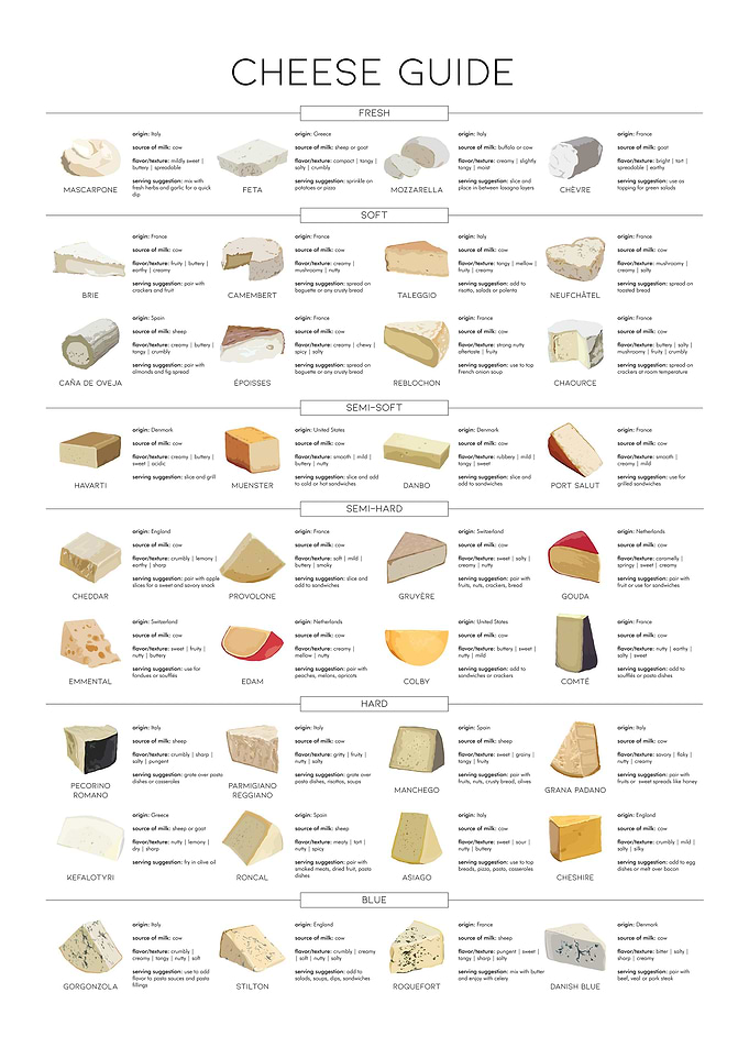 Essential Cheese Guide