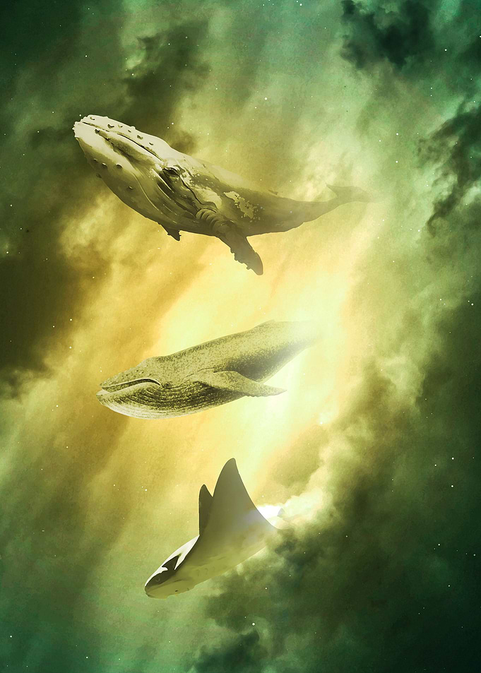 Cosmic Whales Space Portal
