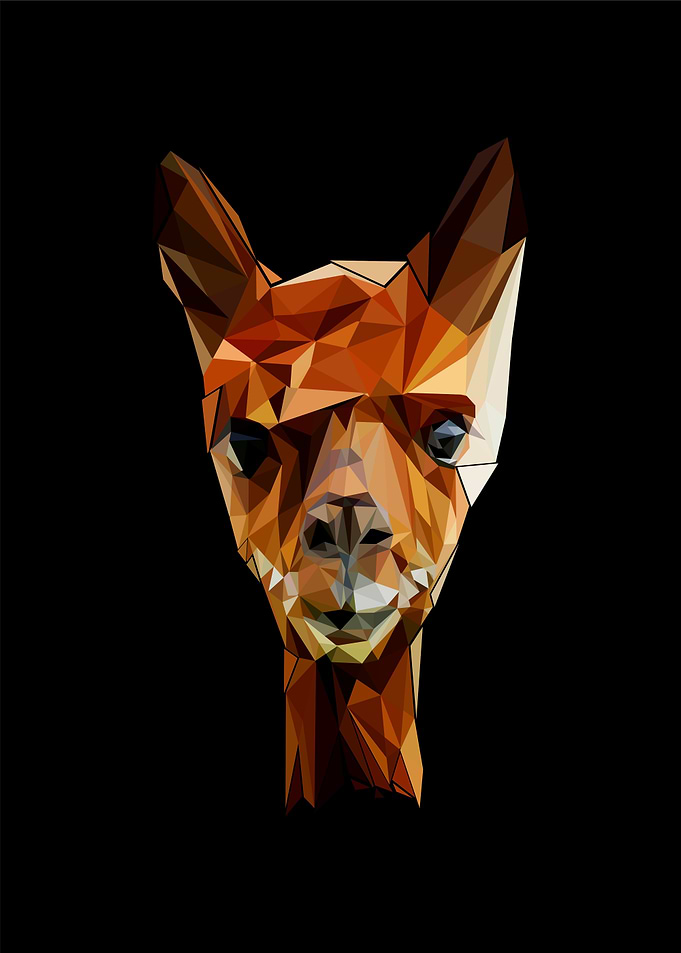 alpaca nursery animals art