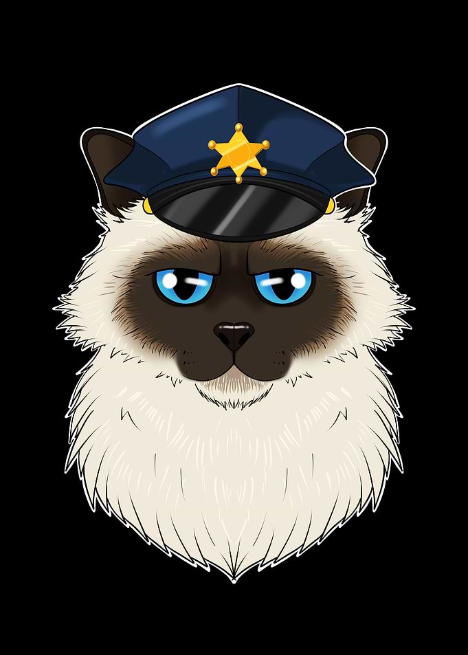 Police Birman Cat