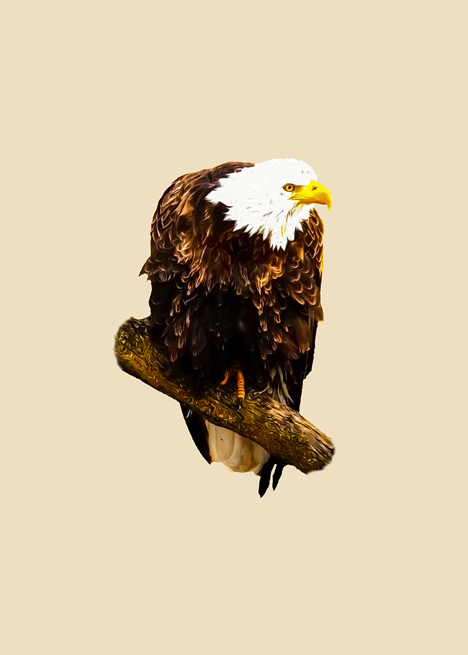 Eagle