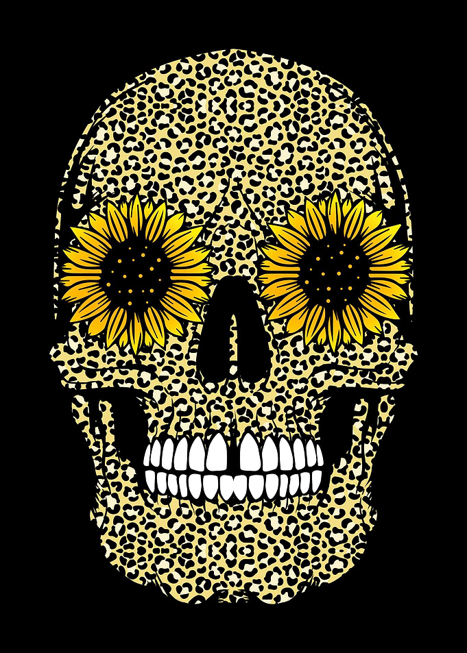 Cheetah Skull