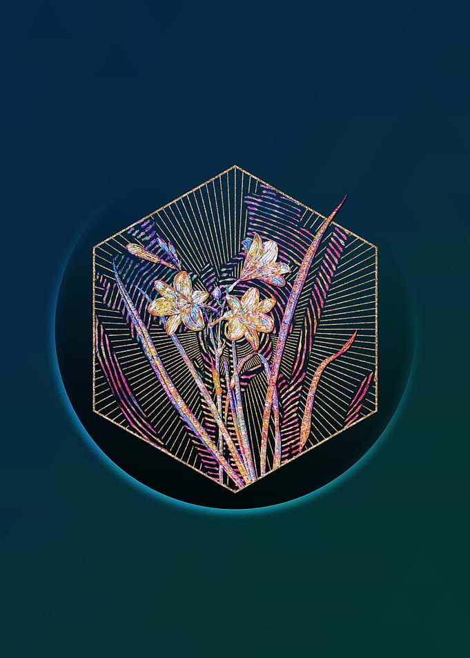 Geometric Mosaic Daylily