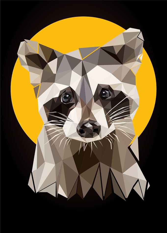 raccoon nursery animals
