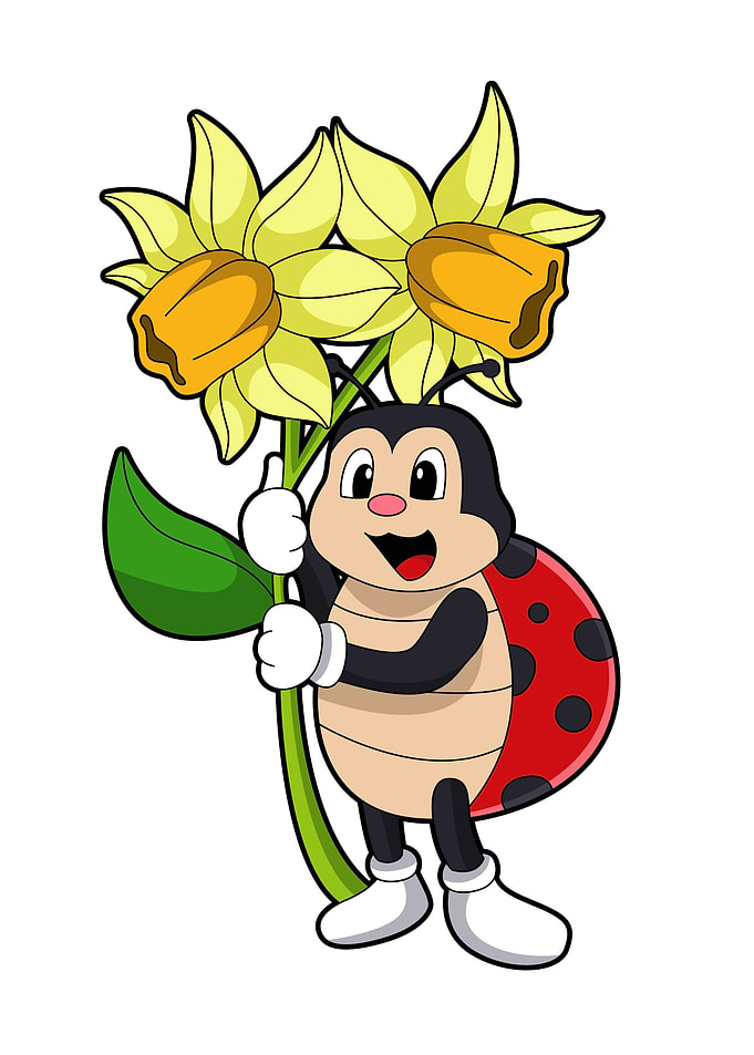 Ladybug Flower Daffodil