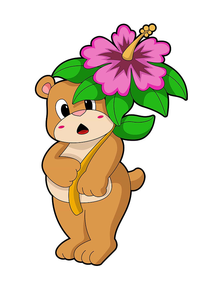 Bear Flower Hibiscus