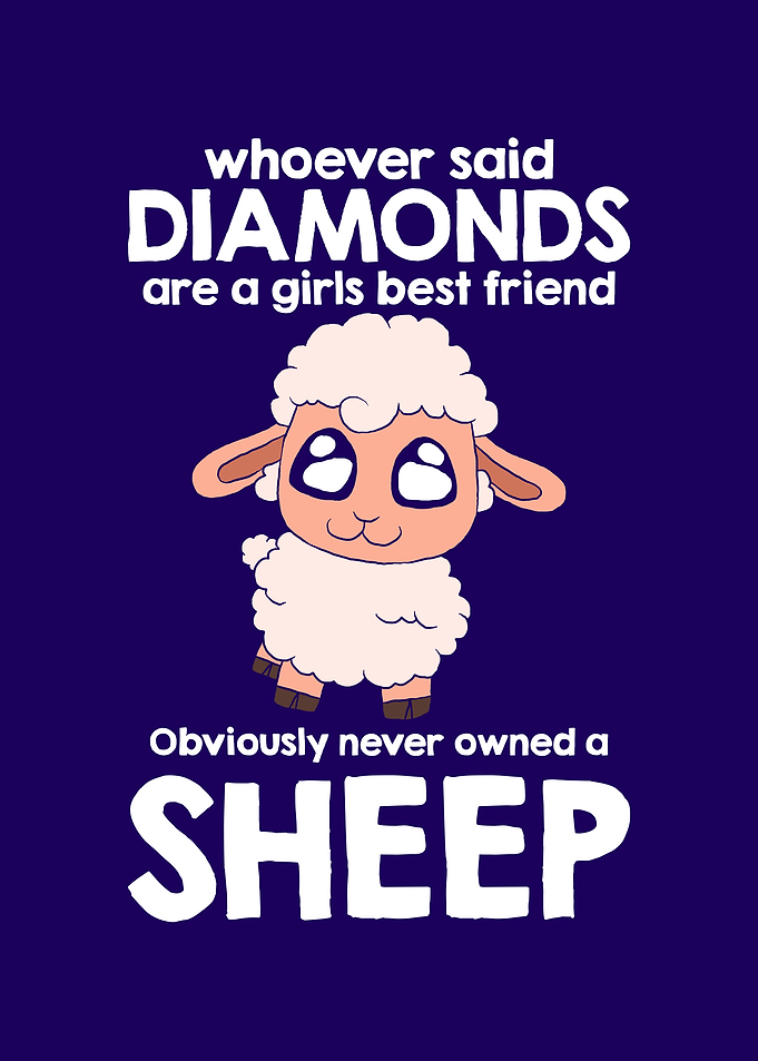 Funny Sheep Cute Sheep