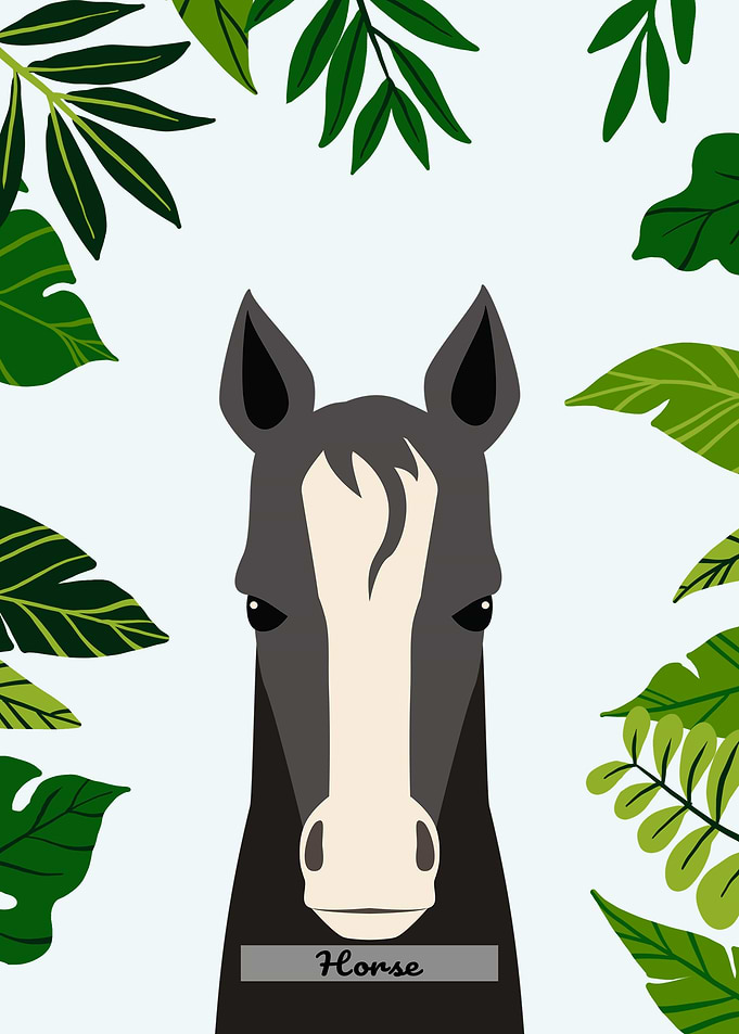 Cute Horse