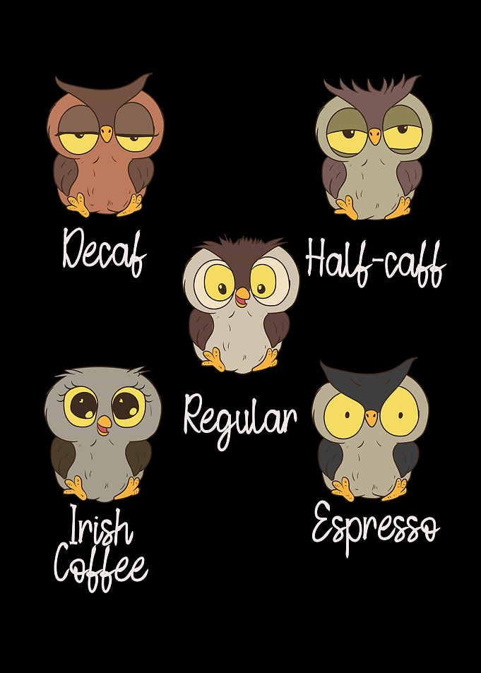 Coffee owl