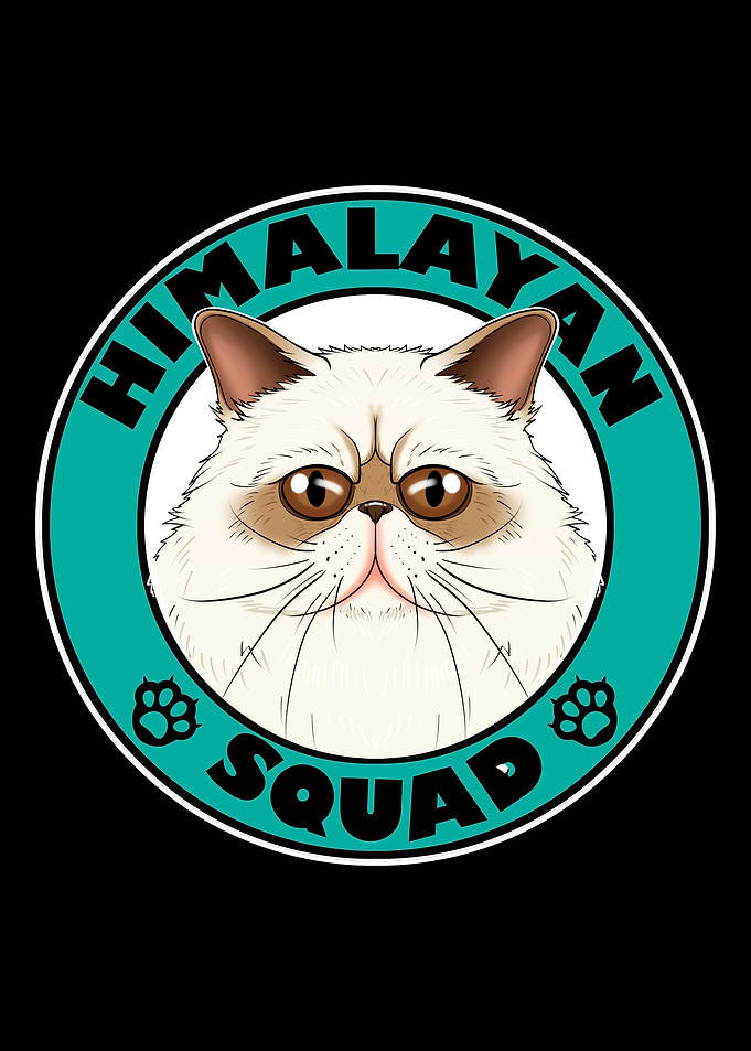 Himalayan Squad I Cat