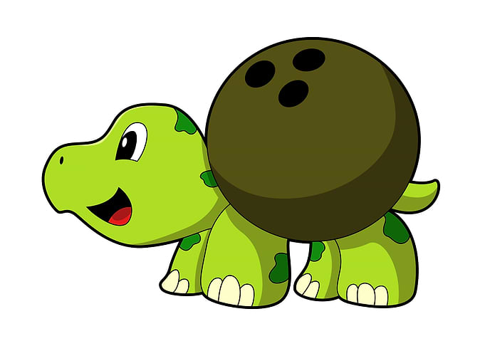Turtle Bowling Sports