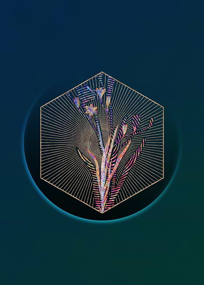 Gold Ixia Bulbifera Mosaic