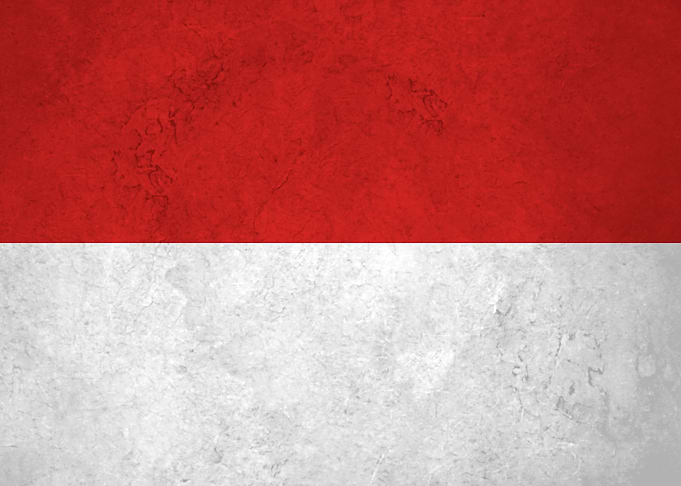 Flag of Monaco on Wall