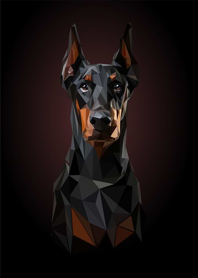 Doberman dog pop art