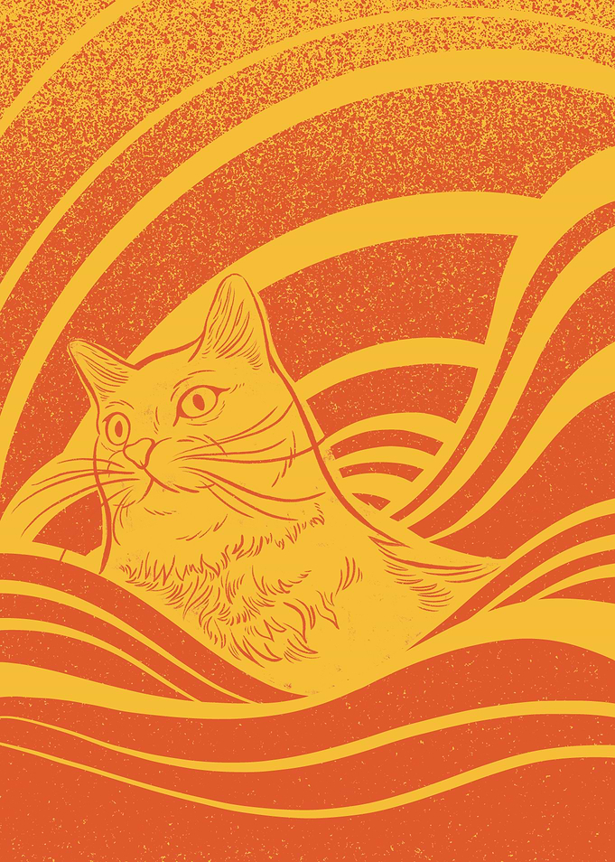 Psychedelicat 3