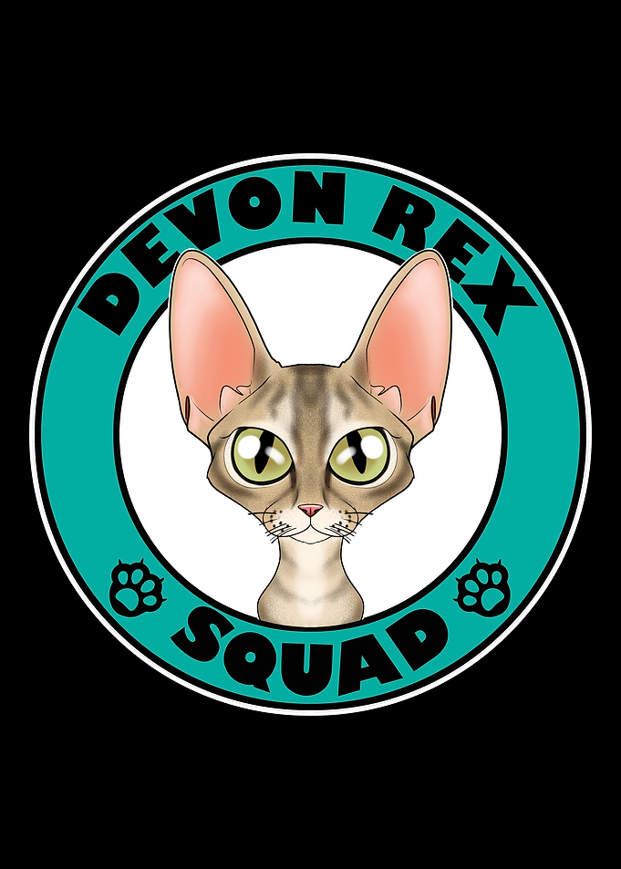 Devon Rex Squad I Cat