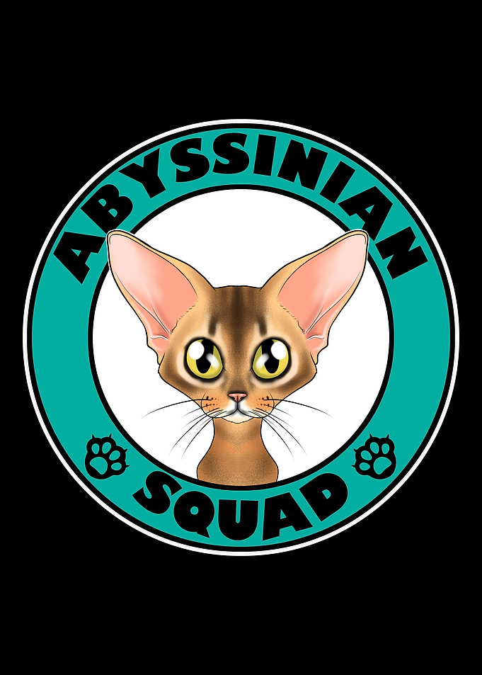 Abyssinian Squad I Cat