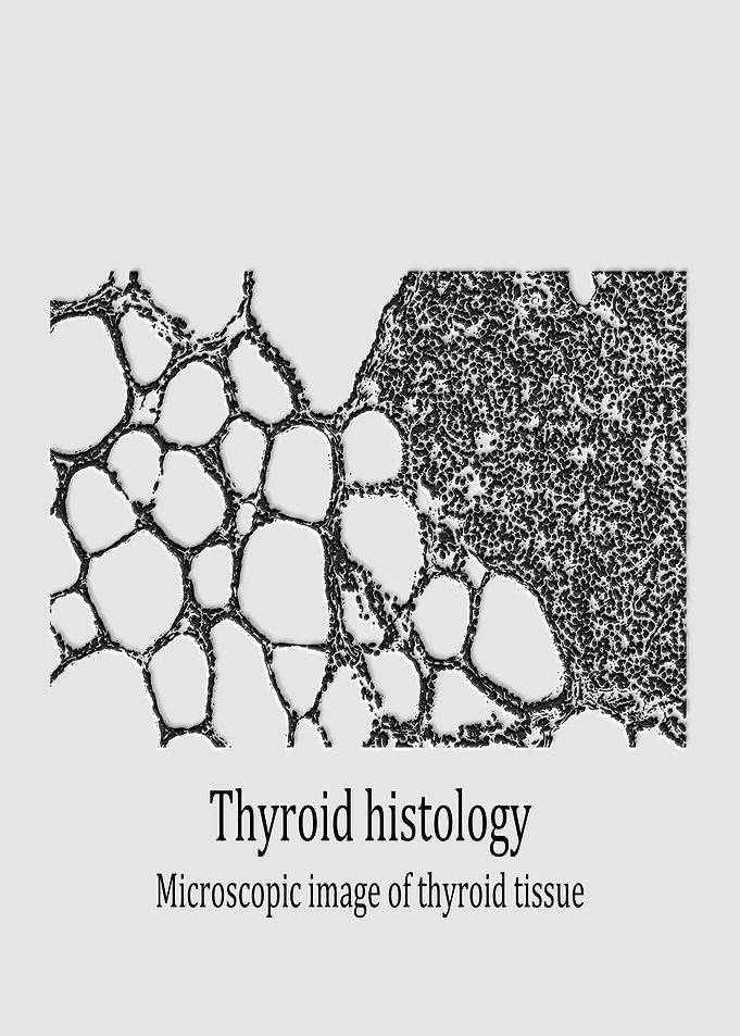 Thyroid tissue