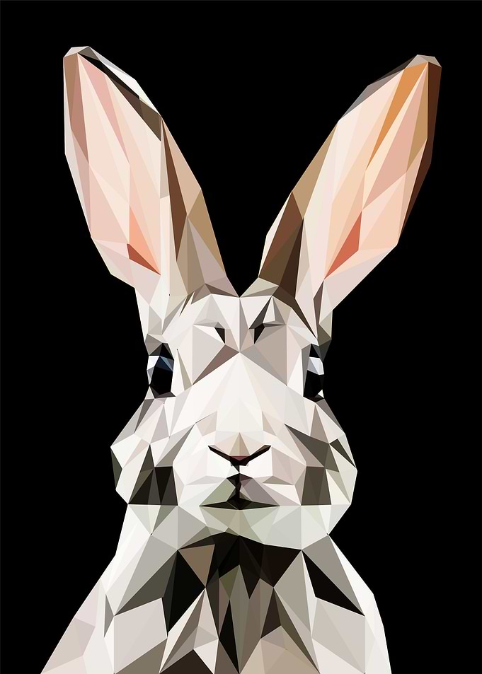 Bunny pop art