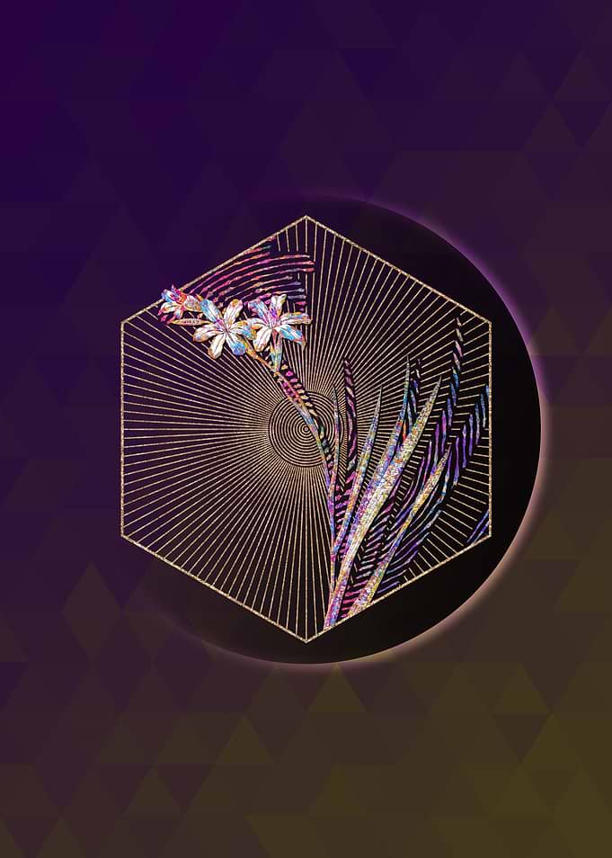 Geometric Mosaic Gladiolus