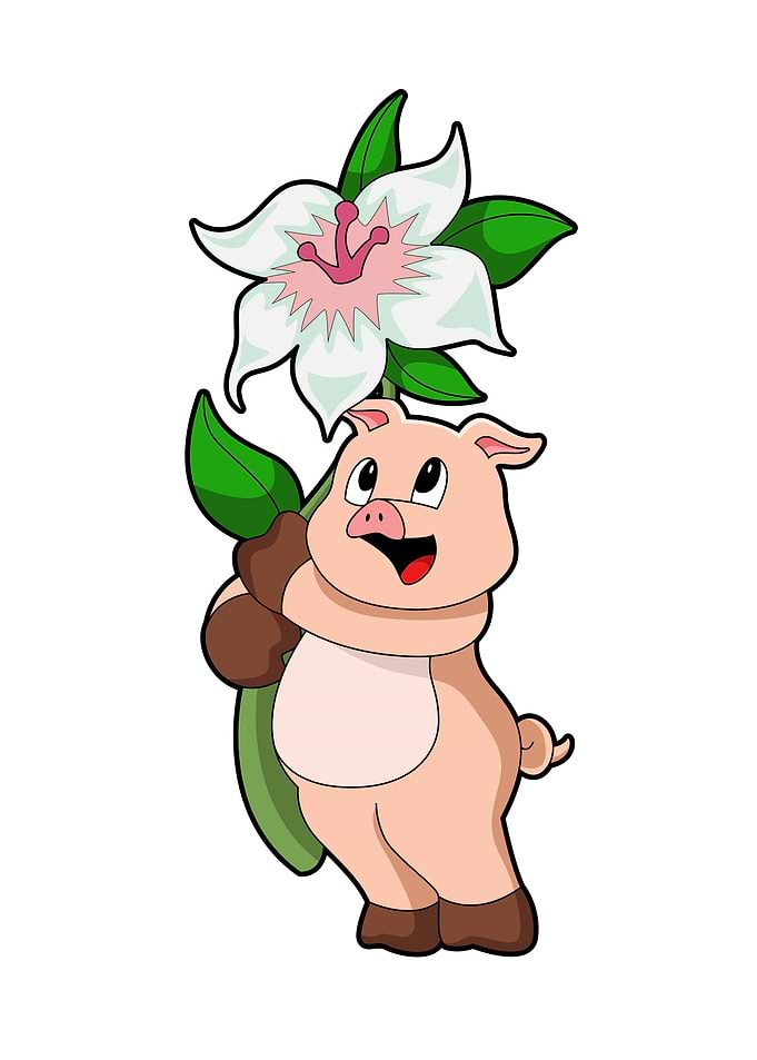 Pig Flower Lily